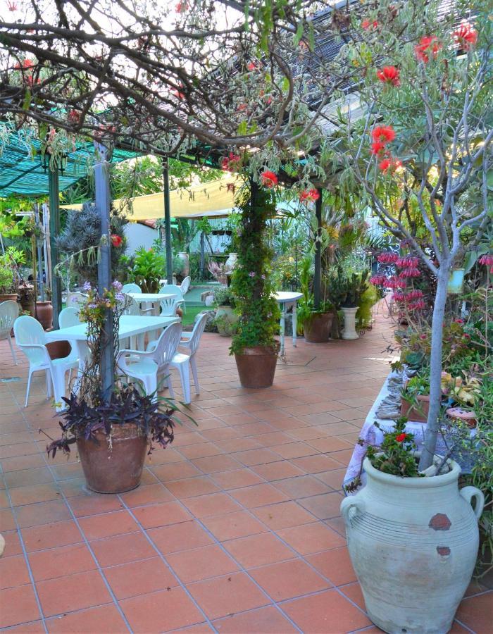ולקרוסיה Agriturismo Terre Di Mare Bordighera מראה חיצוני תמונה