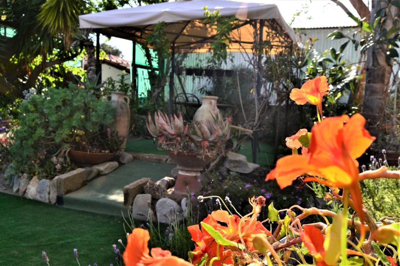 ולקרוסיה Agriturismo Terre Di Mare Bordighera מראה חיצוני תמונה